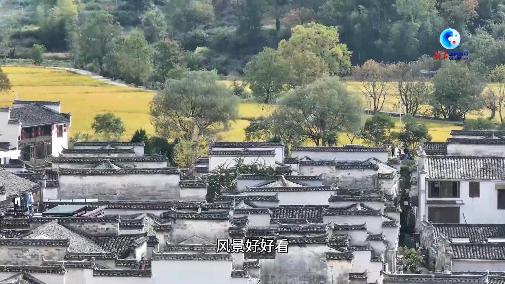 多國青年走進“中國畫里鄉(xiāng)村”體驗山水人文之美